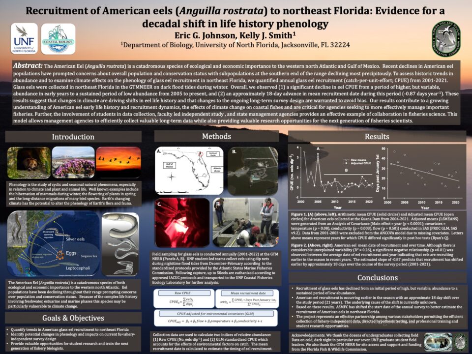 Recruitment of American eels (Anguilla rostrata) to northeast Florida: Evidence for a decadal shift in life history phenology poster